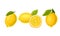 Whole and Halved Lemon Citrus Fruit with Green Leaf Vector Set