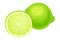 Whole and Halved Lime as Green Round Citrus Fruit Vector Illustration
