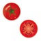 Whole and Halved Tomato Fruit Vector Icon