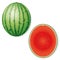 Whole and Halved Watermelon Fruit Vector Icon