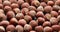 Whole hazelnuts close-up on sliding platform