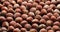 Whole hazelnuts close-up on sliding platform