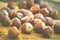 Whole hazelnuts in shells scattered on weathered wood background, soft warm colors, toned, autumn