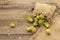 Whole hops in bag on wooden old table. Brewery. Beer ingredients. Sack of hops on vintage boards background