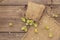 Whole hops in bag on wooden old table. Brewery. Beer ingredients. Sack of hops on vintage boards background