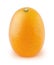 Whole kumquat isolated on a white background.