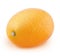 Whole kumquat isolated on a white background.