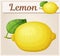 Whole lemon fruit illustration. Vector icon