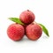 Whole Lychee On White Background - Tetsuo Hara Style