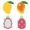 Whole mango and dragon fruit and cut mango and dragon fruit with leaf tropical exotic sweet fruit pink green orange with seeds