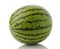 Whole Mini Seedless Watermelon