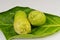 Whole Noni fruits, Morinda citrifolia, on leaf, against white background