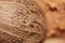 Whole nutmeg closeup