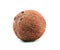 A whole nutritious coconut, isolated on a white background. Healthful, fresh and organic brown coconut.