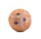 A whole nutritious coconut, on a white background. Healthful, fresh and organic brown coconut. Freshness, nature, summer