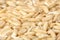 Whole Oats Close-up