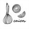 The whole onion and several segments of onion. Black and white vector illustration with hand lettering