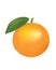 Whole orange fruit vector