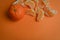 Whole organic tangerine with tangerine wedges in a mess an orange paper background with plenty of room for text