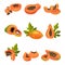 Whole Papaya Fruit and Cross Section Showing Orange Flesh and Numerous Black Seeds Vector Set