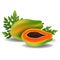 Whole papaya with slice, and leaf