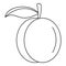 Whole peach icon, outline style