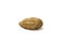 Whole peanut on white background. Raw peanut in textured shell.