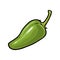 Whole pepper jalapeno. Vector vintage engraving