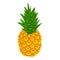 Whole pineapple icon, isometric style