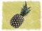 Whole pineapple skech drawing. Top view, copy space