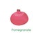 Whole pomegranate flat icon. Cartoon logo red fruit. Vector illustration