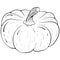 Whole pumpkin line art