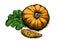 Whole pumpkin with piece and green leaf