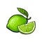 Whole and quarter of unpeeled green lime, sketch vector illustration