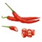 Whole, quarter, and wedges of Cayenne peppers.