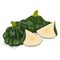Whole, quarter, wedges of Green Patty Pan squash