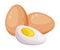 Whole Raw Uncooked Egg with Brown Shell and Boiled Half Vector Illustration