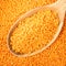 Whole red lentils in wooden spoon closeup