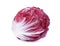 Whole red radicchio or red salad isolated on white