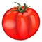 Whole red tomato. Globe tomatoes. Fresh organic and healthy, diet and vegetarian vegetables. Vector illustration