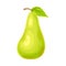 Whole Ripe Green Pear Pomaceous Fruit as Organic Garden Crop Vector Illustration