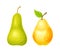 Whole Ripe Pear Pomaceous Fruit as Organic Garden Crop Vector Set