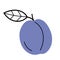 Whole ripe plum with twig and leaf. Hand drawn sketch icon of fruit. Vector illustration in doodle line style.