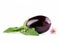 whole ripe purple eggplant, green leaves and flower plants