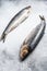 Whole salted Dutch herring. Gray background. Top view