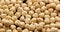 Whole shelled hazelnuts nuts kernels close-up on sliding platform