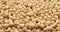 Whole shelled hazelnuts nuts kernels close-up on sliding platform