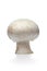 Whole single fresh button mushroom