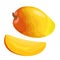 Whole and slice mango. Vector color flat illustration