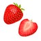 Whole and slice strawberry. Vector color flat illustration